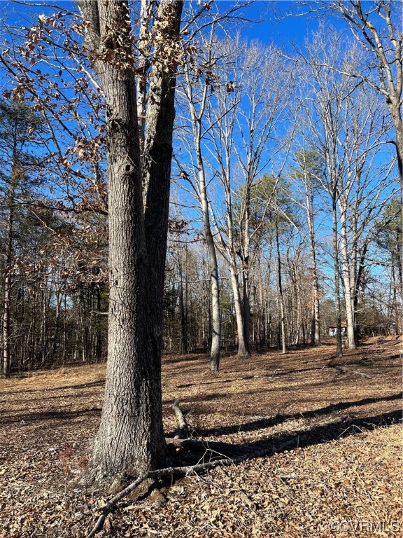 64 Milden Road Farmville, VA 23901 - Photo 1 of 3