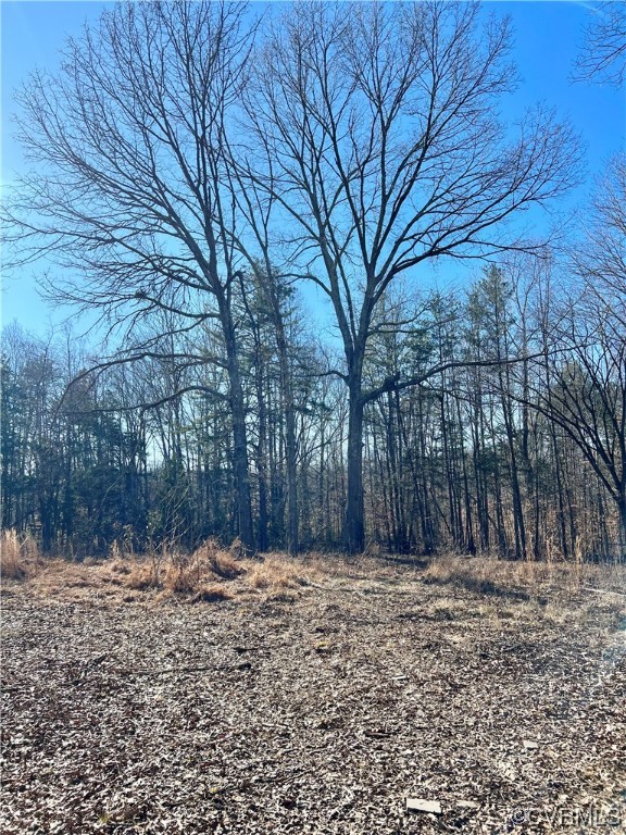 64 Milden Road Farmville, VA 23901 - Photo 2 of 3