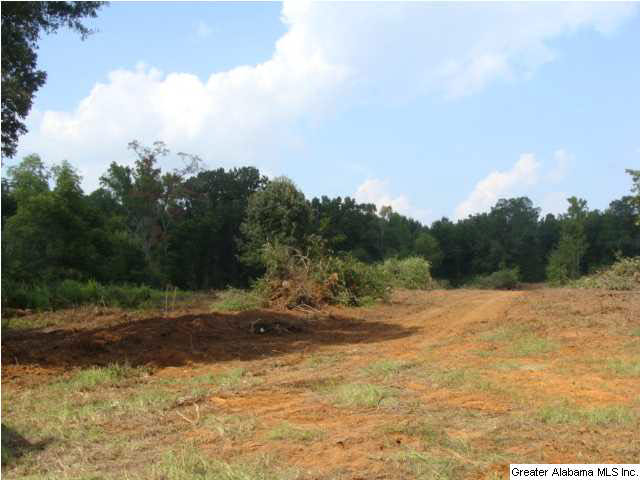 0 Eastern Valley Road, Unit 9 2 AC Bessemer, AL 35020 - Photo 1 of 3
