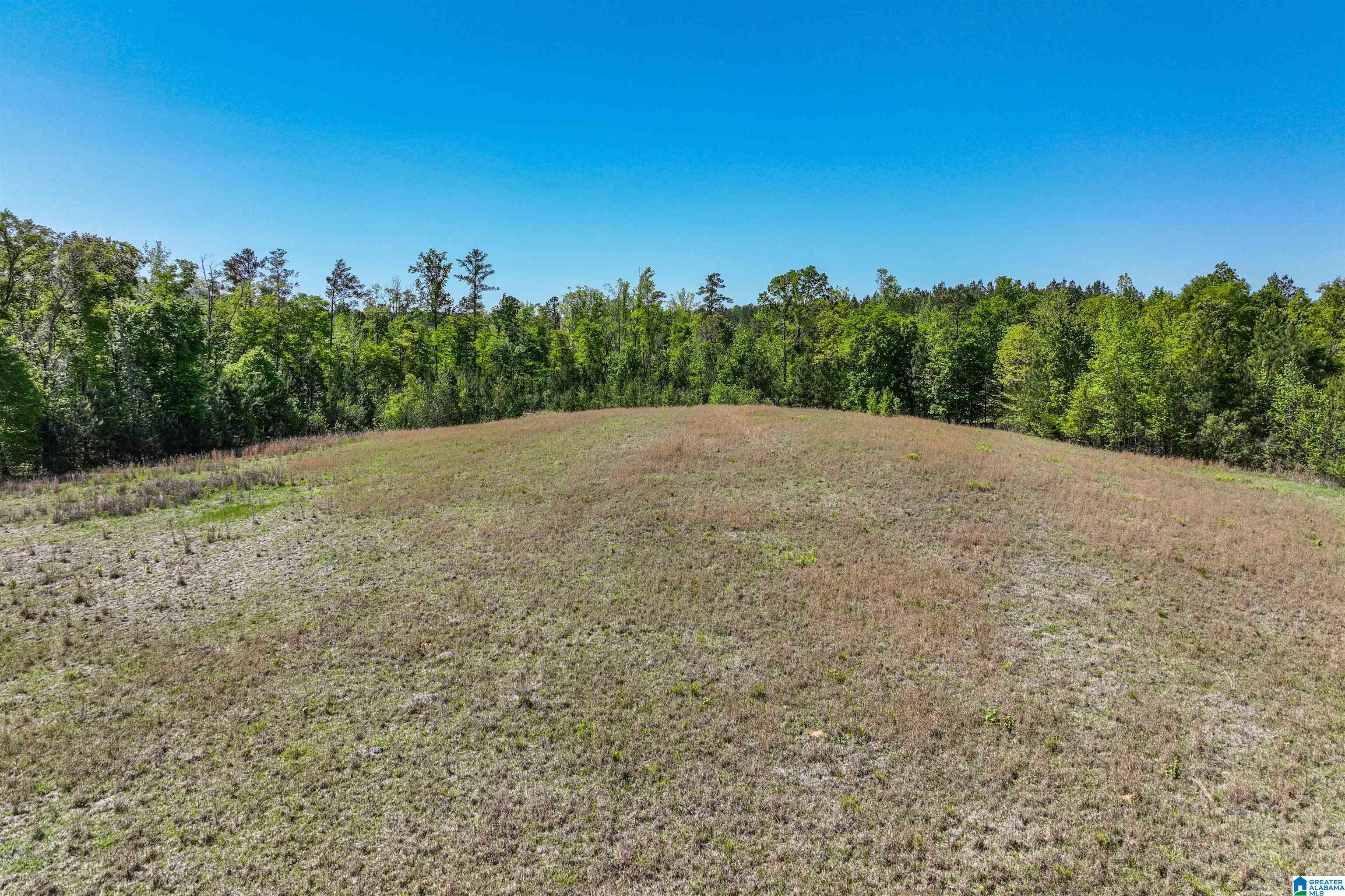 489 4 Wing Lake Road Alabaster, AL 35007 - Photo 20 of 27