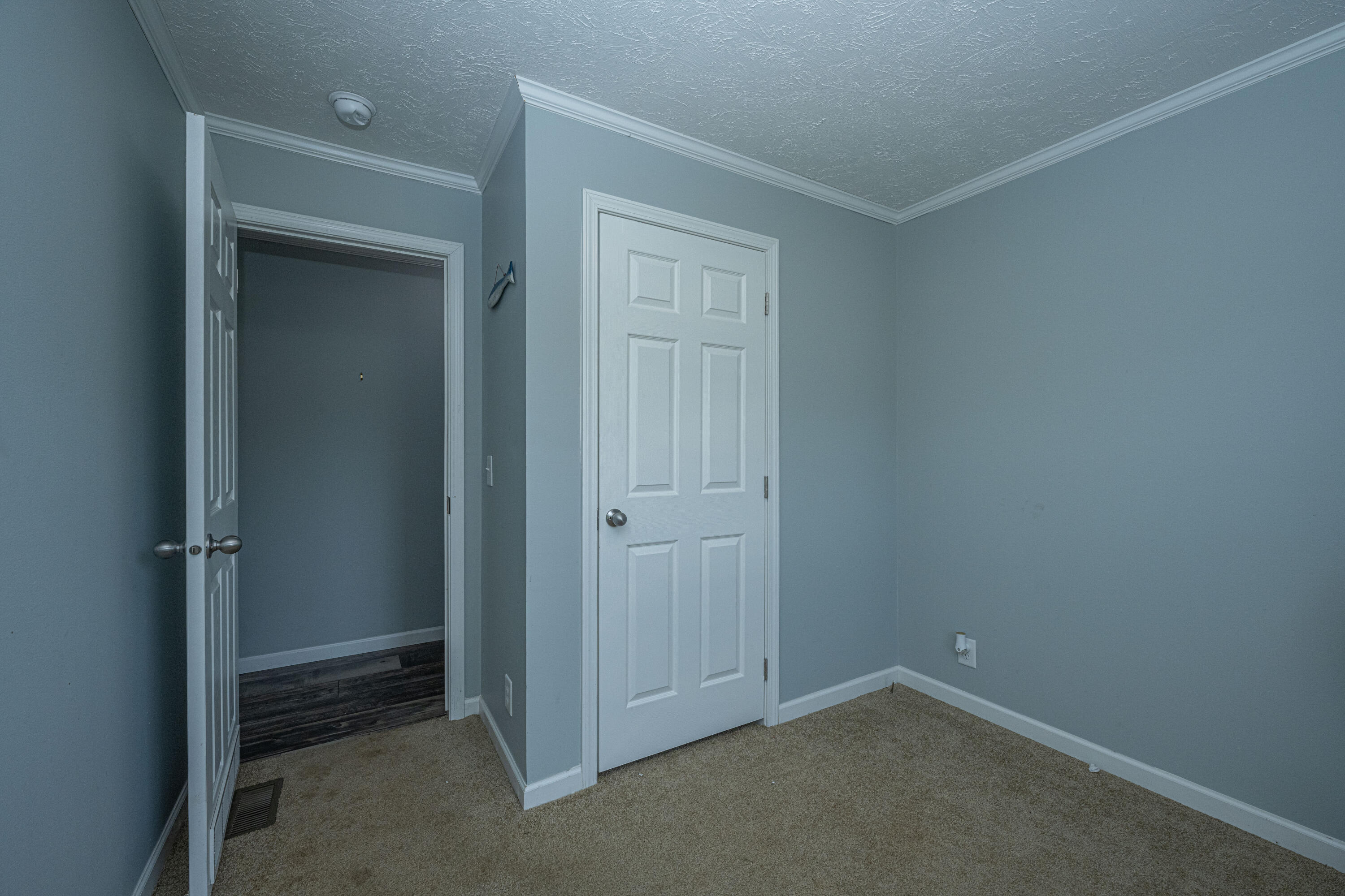 2542 Old Gilliard Road Ridgeville, SC 29472 - Photo 31 of 51 Guest Bedroom #2