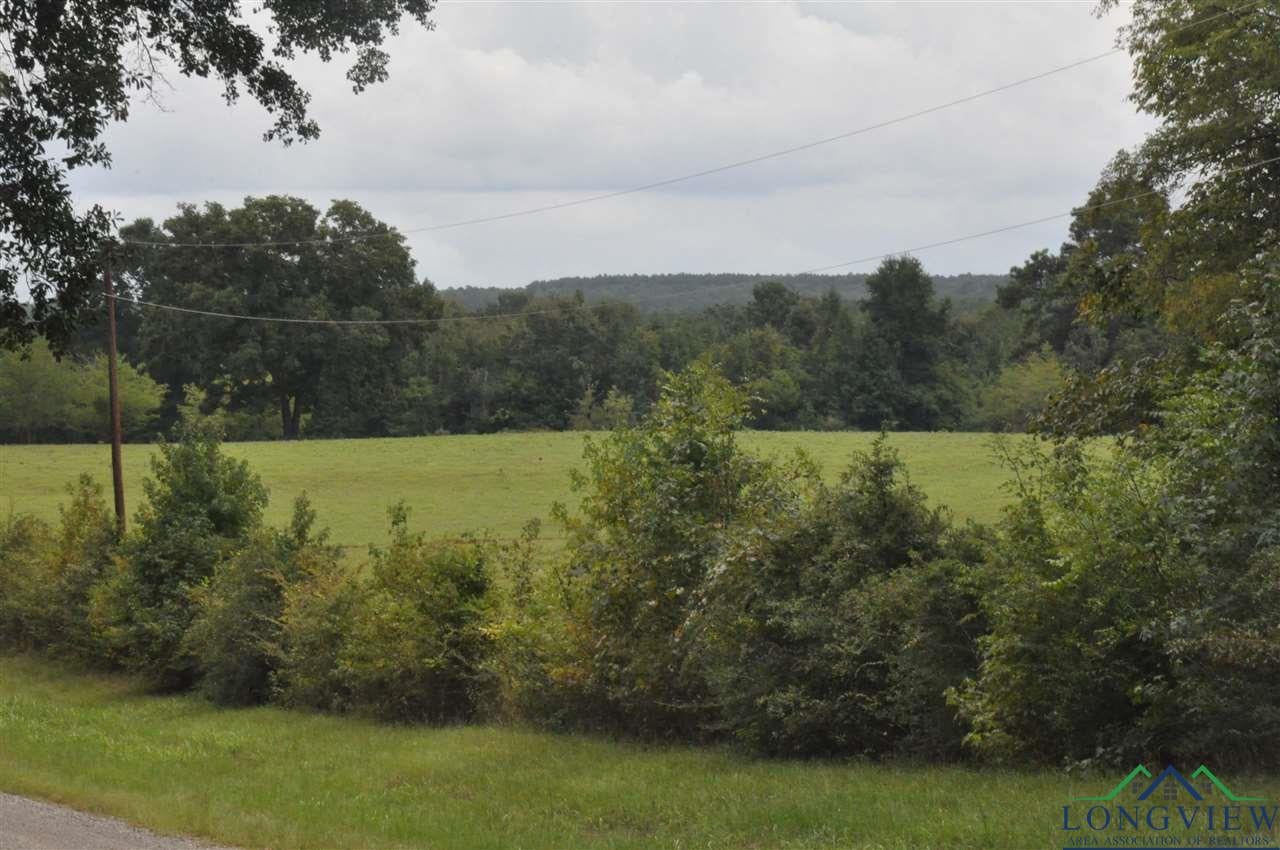 County Rd County Road Gary City, TX 75643 - Photo 1 of 10 Gallery Image 1