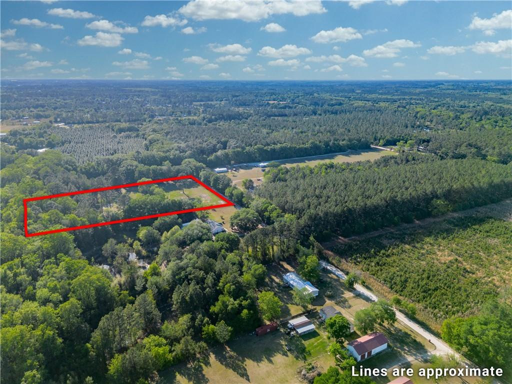 264 Williams Loop Waycross, GA 31503 - Photo 3 of 33