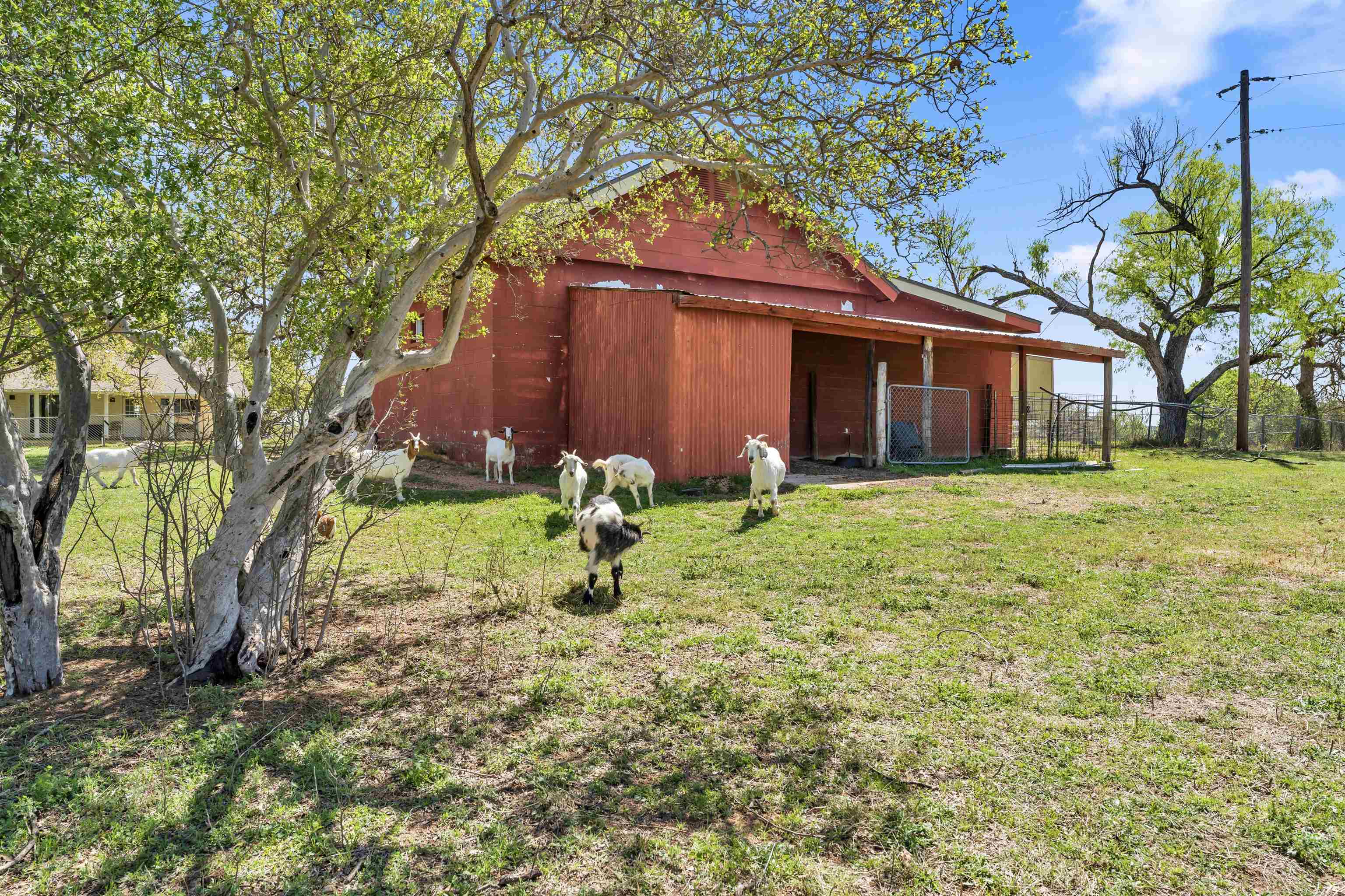 301 Wood Forest Road Kingsland, TX 78639 - Photo 26 of 32 a front view of house with yard