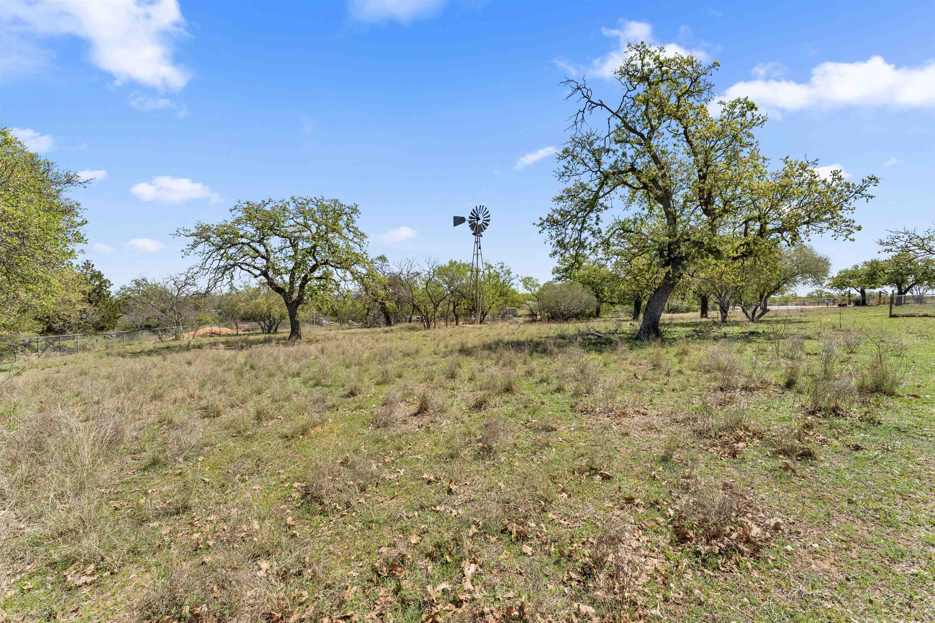 301 Wood Forest Road Kingsland, TX 78639 - Photo 30 of 32 a view of a yard with trees