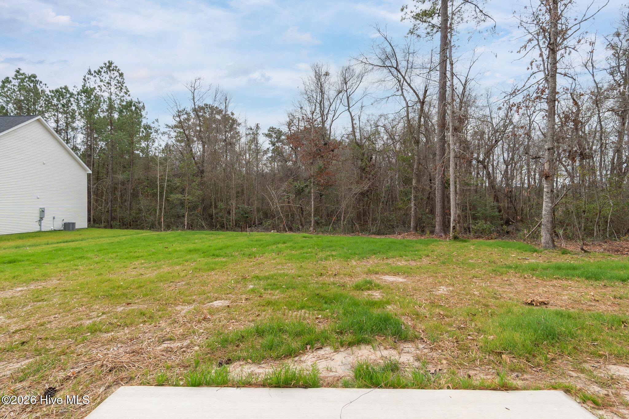 213 Brighttown Road Maysville, NC 28555 - Photo 43 of 45 Yard