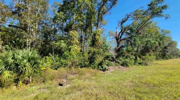 $55,000 | 19 Us Highway, Old Town, FL 32680