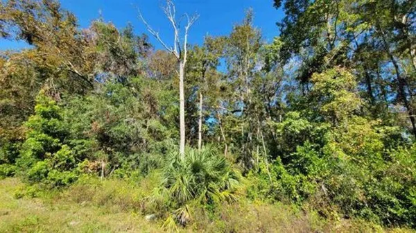 $55,000 | 19 Us Highway, Old Town, FL 32680