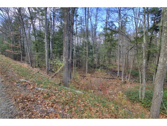 0 Old Farm Road Bedford, NH 03110 - Photo 1 of 3