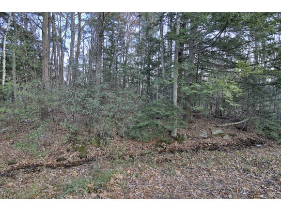 0 Old Farm Road Bedford, NH 03110 - Photo 2 of 3