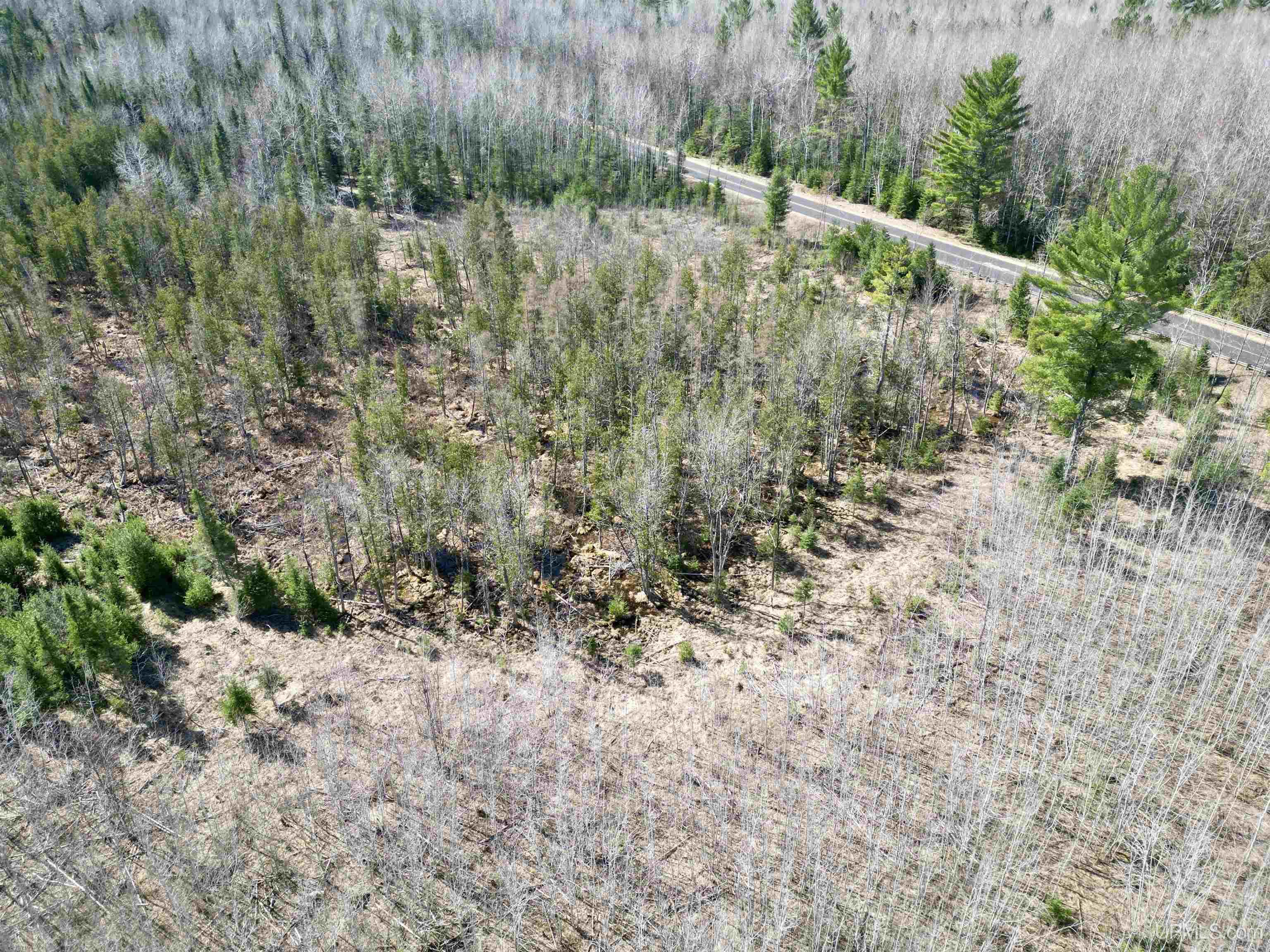 577 Rd Vulcan Mi 49892 Road Vulcan, MI 49892 - Photo 5 of 17
