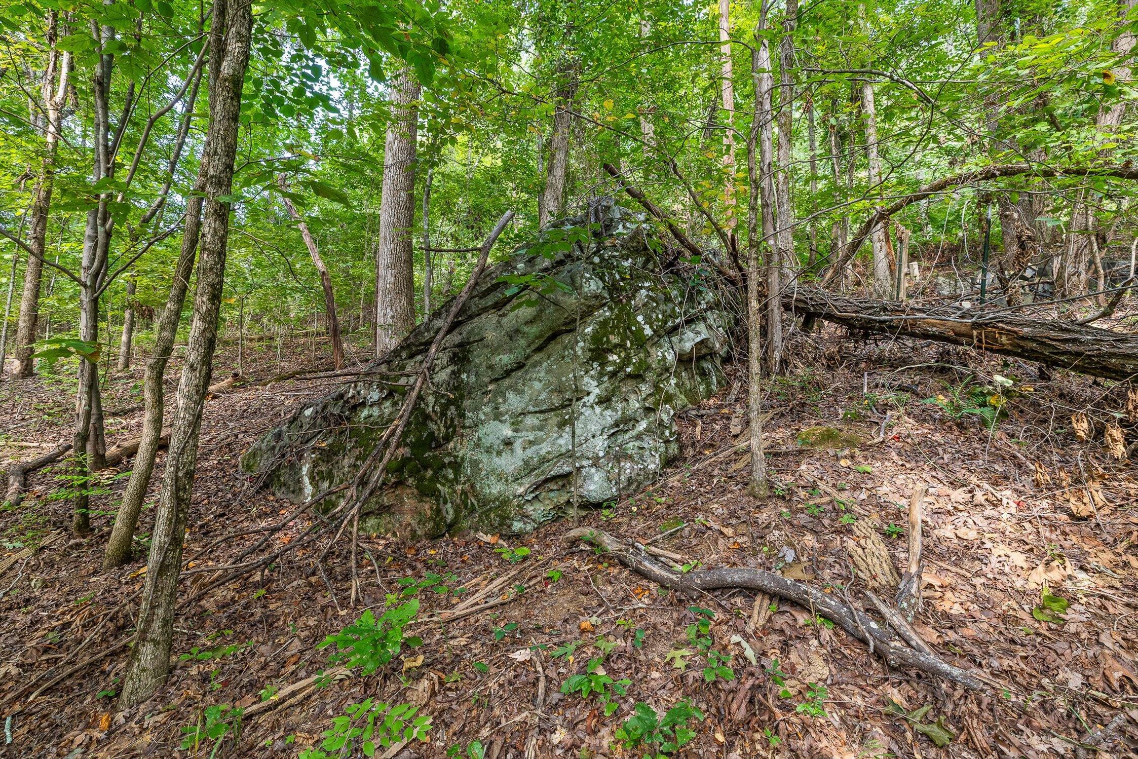 2255 Nick-A Jack Road Flintstone, GA 30725 - Photo 12 of 25 06-Nick-A-Jack-5