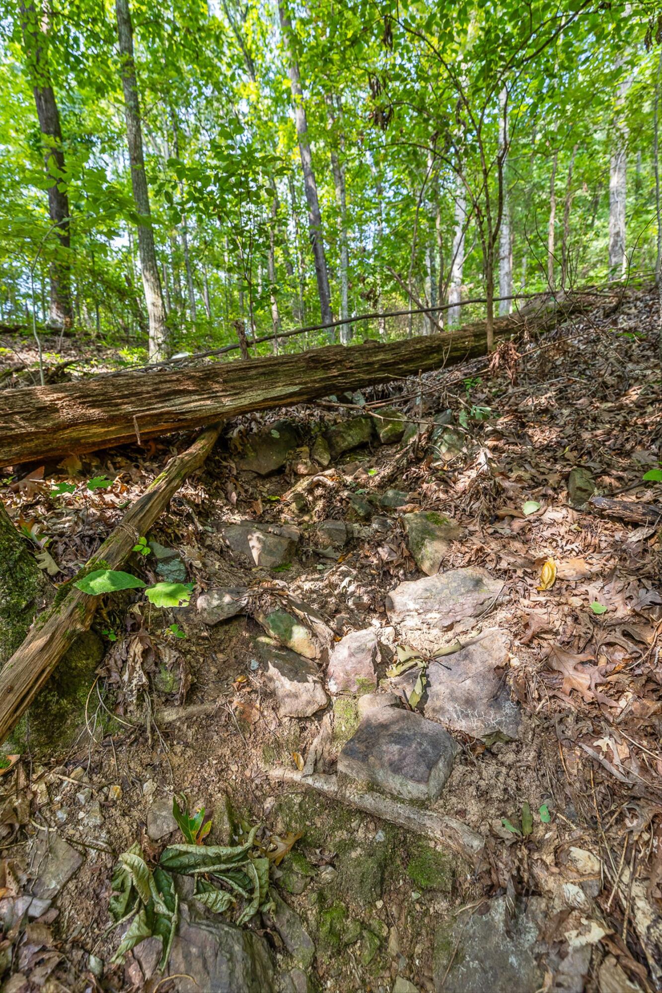 2255 Nick-A Jack Road Flintstone, GA 30725 - Photo 13 of 25 11-Nick-A-Jack-10