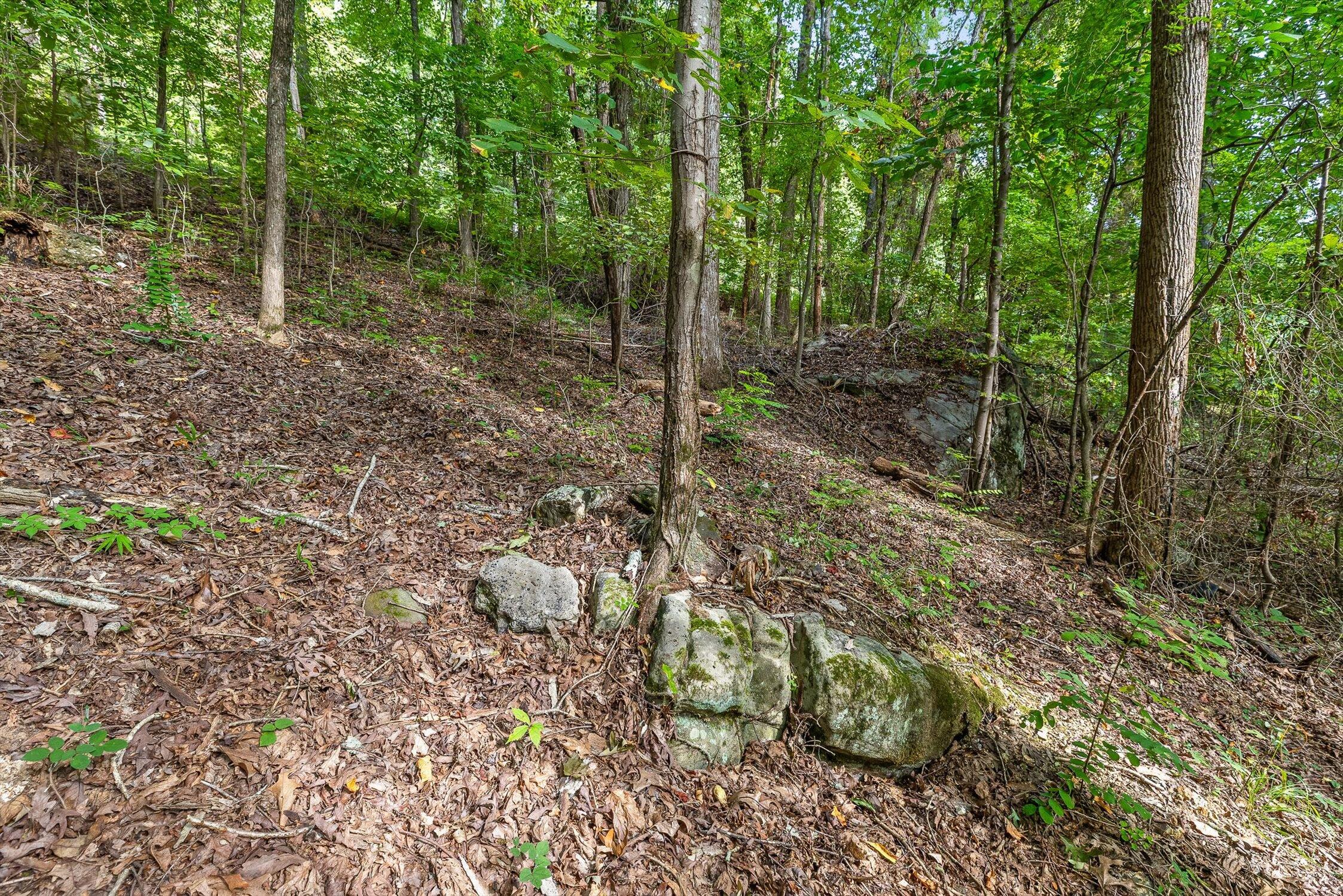 2255 Nick-A Jack Road Flintstone, GA 30725 - Photo 15 of 25 12-Nick-A-Jack-11