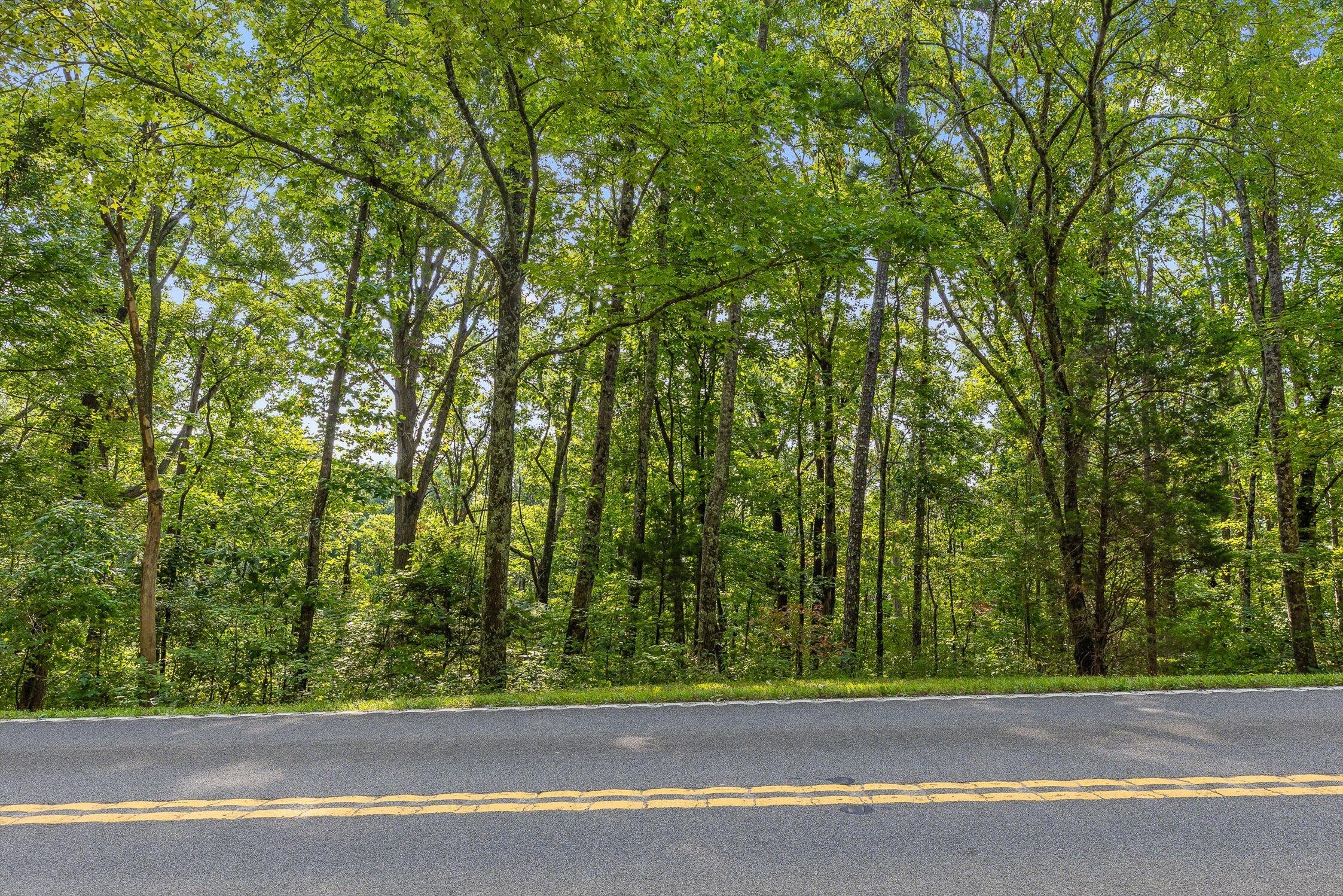 2255 Nick-A Jack Road Flintstone, GA 30725 - Photo 6 of 25 03-Nick-A-Jack-2