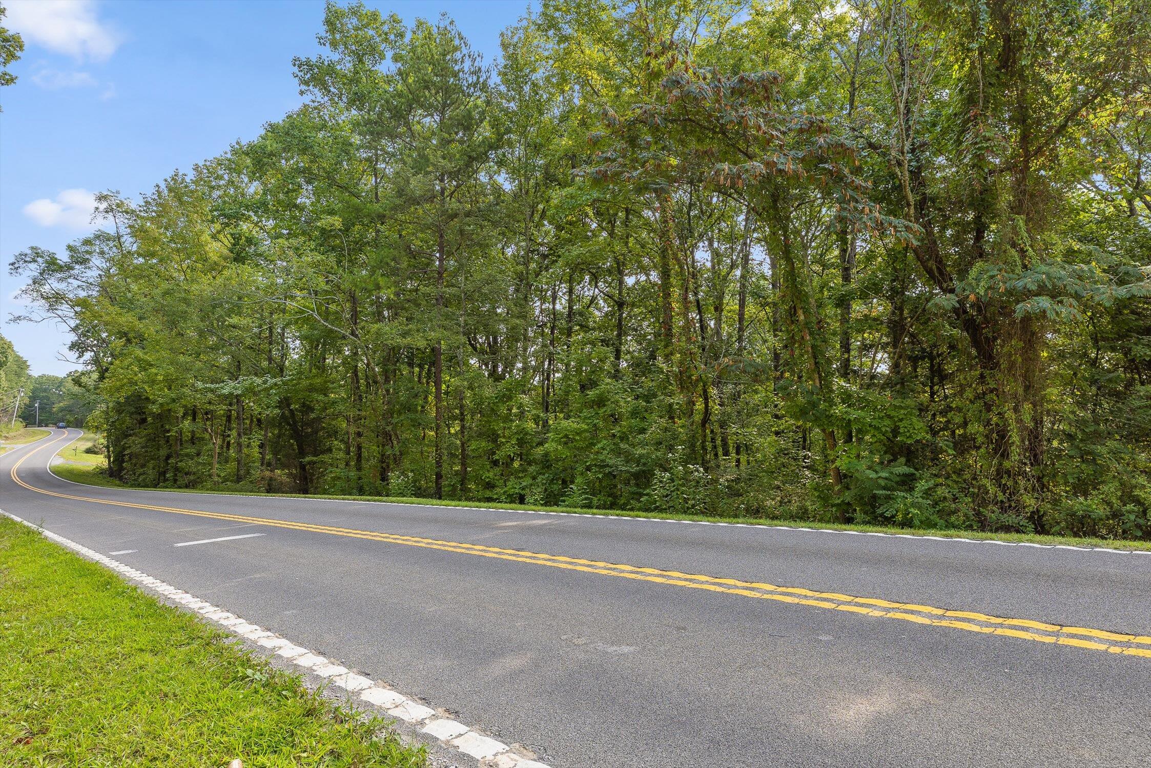 2255 Nick-A Jack Road Flintstone, GA 30725 - Photo 7 of 25 04-Nick-A-Jack-3