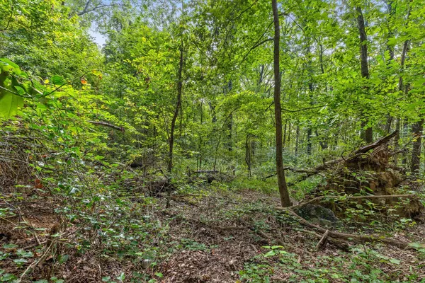 $175,000 | 2255 Nick-A Jack Road, Flintstone, GA 30725