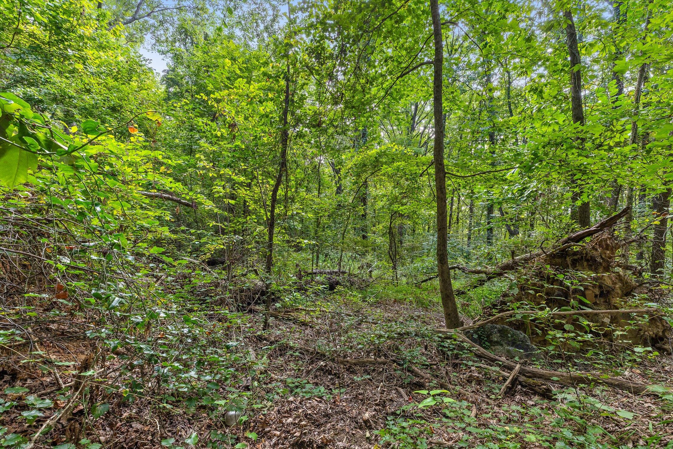 2255 Nick-A Jack Road Flintstone, GA 30725 - Photo 8 of 25 10-Nick-A-Jack-9