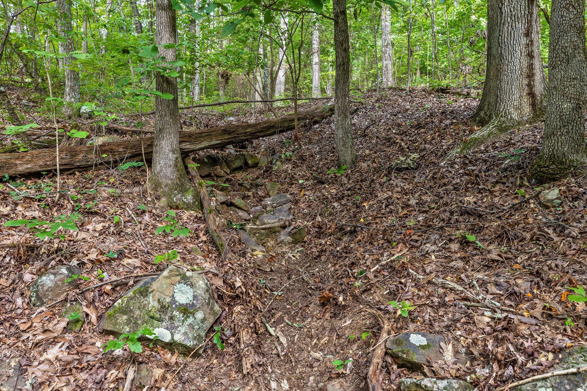 2255 Nick-A Jack Road Flintstone, GA 30725 - Photo 9 of 25 09-Nick-A-Jack-8