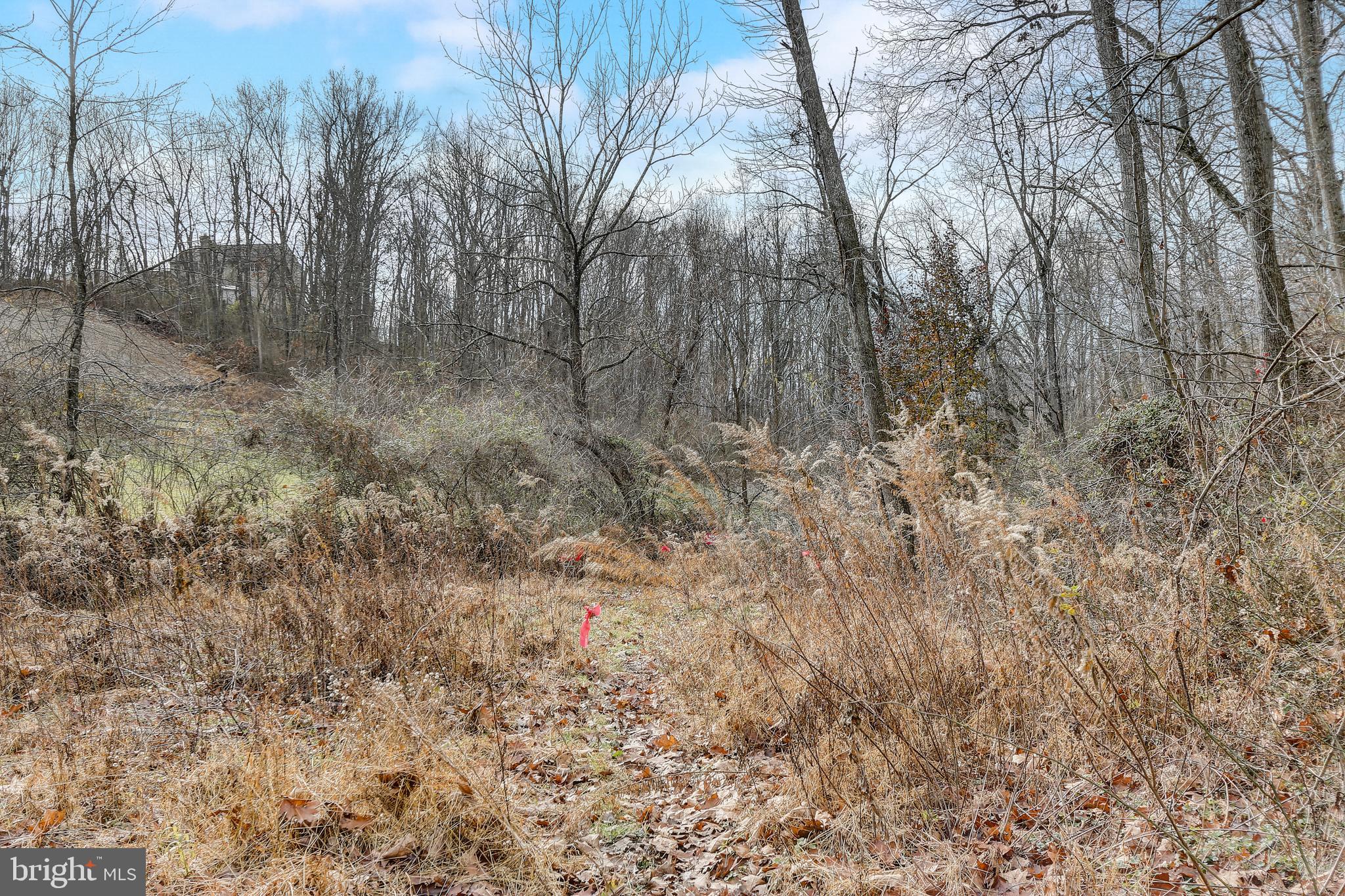 3723 Turkeyfoot Road Westminster, MD 21158 - Photo 58 of 62 Gallery Image 58