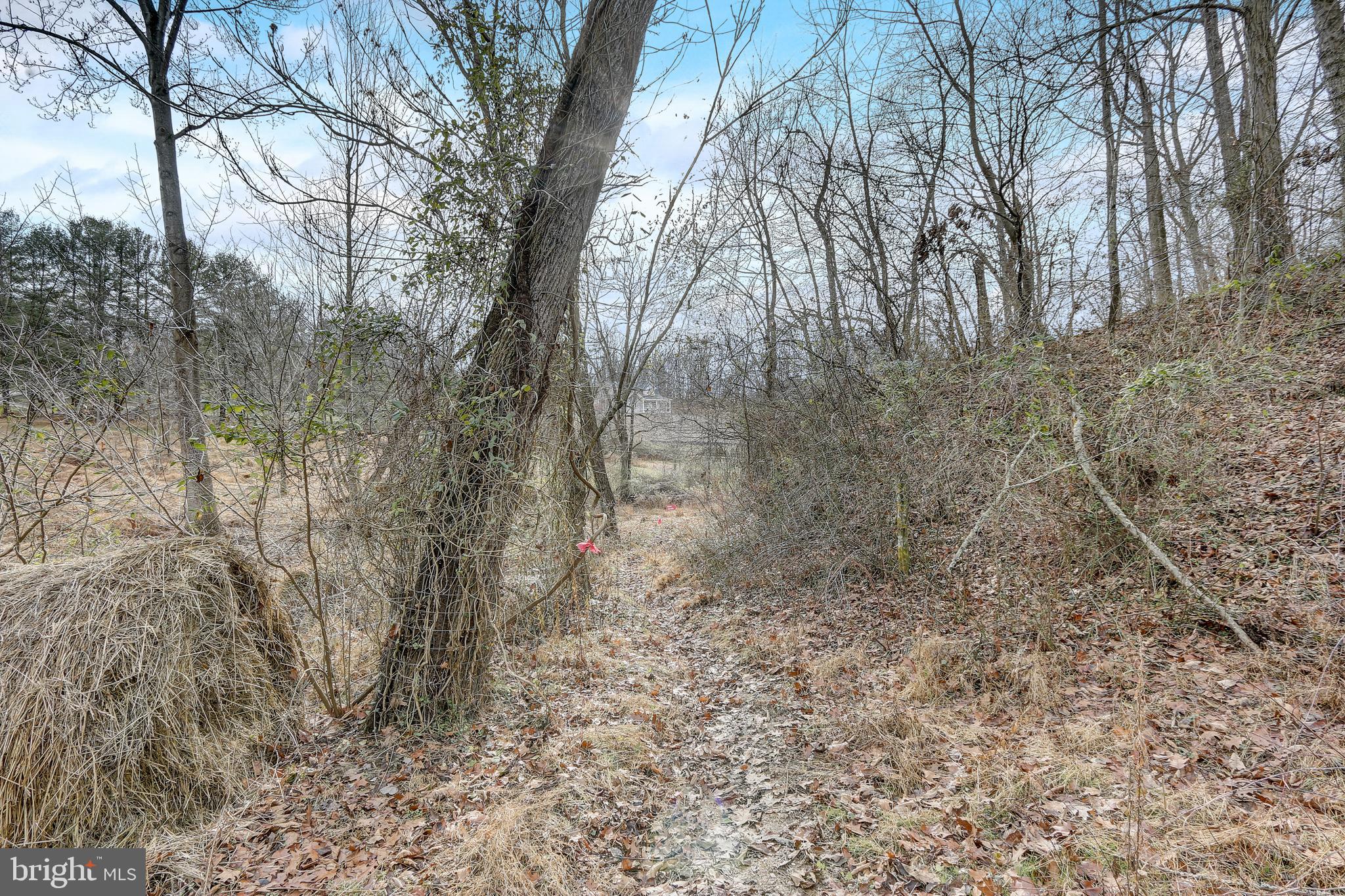3723 Turkeyfoot Road Westminster, MD 21158 - Photo 59 of 62 Gallery Image 59