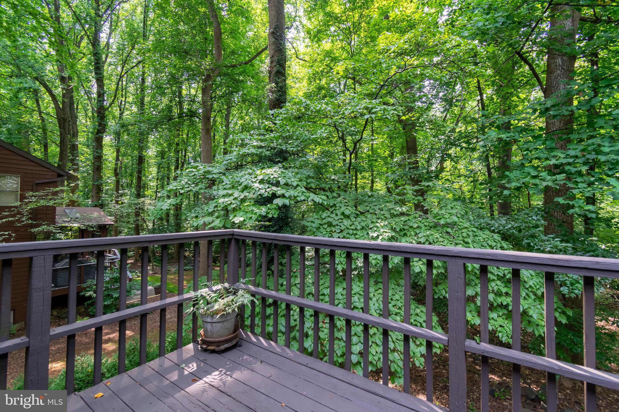 9516 White Spring Way Columbia, MD 21046 - Photo 33 of 37 Gallery Image 33