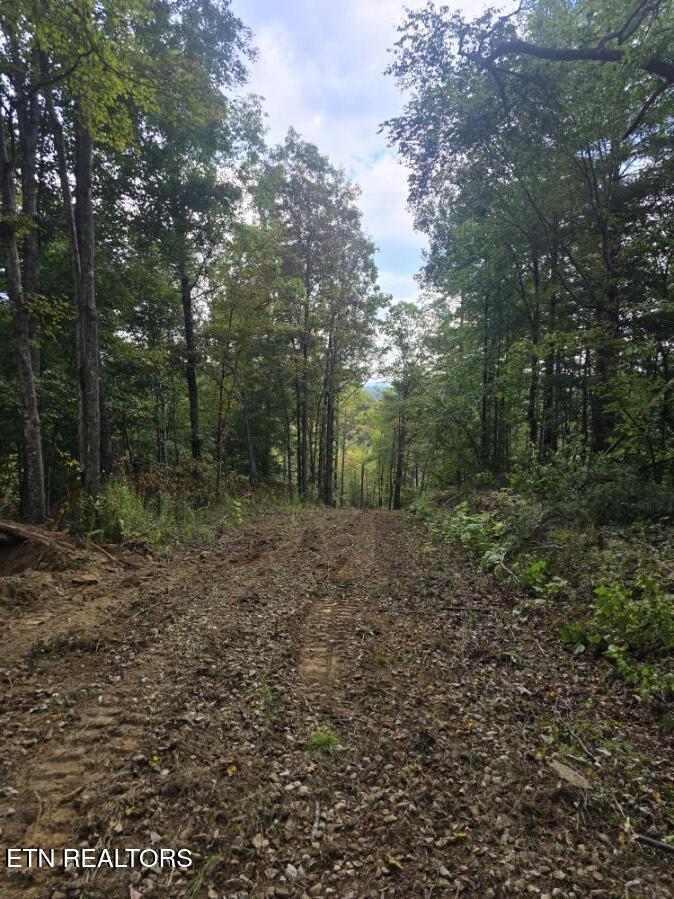 River Road Huntsville, TN 37756 - Photo 13 of 15 20250916_154316