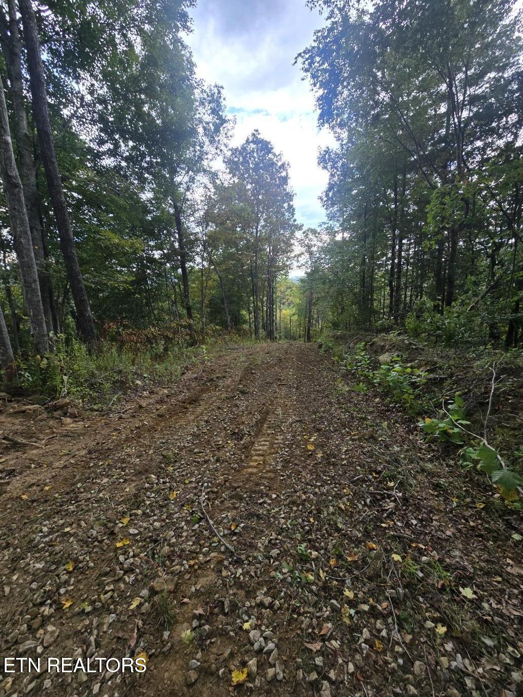 River Road Huntsville, TN 37756 - Photo 14 of 15 20250916_155221