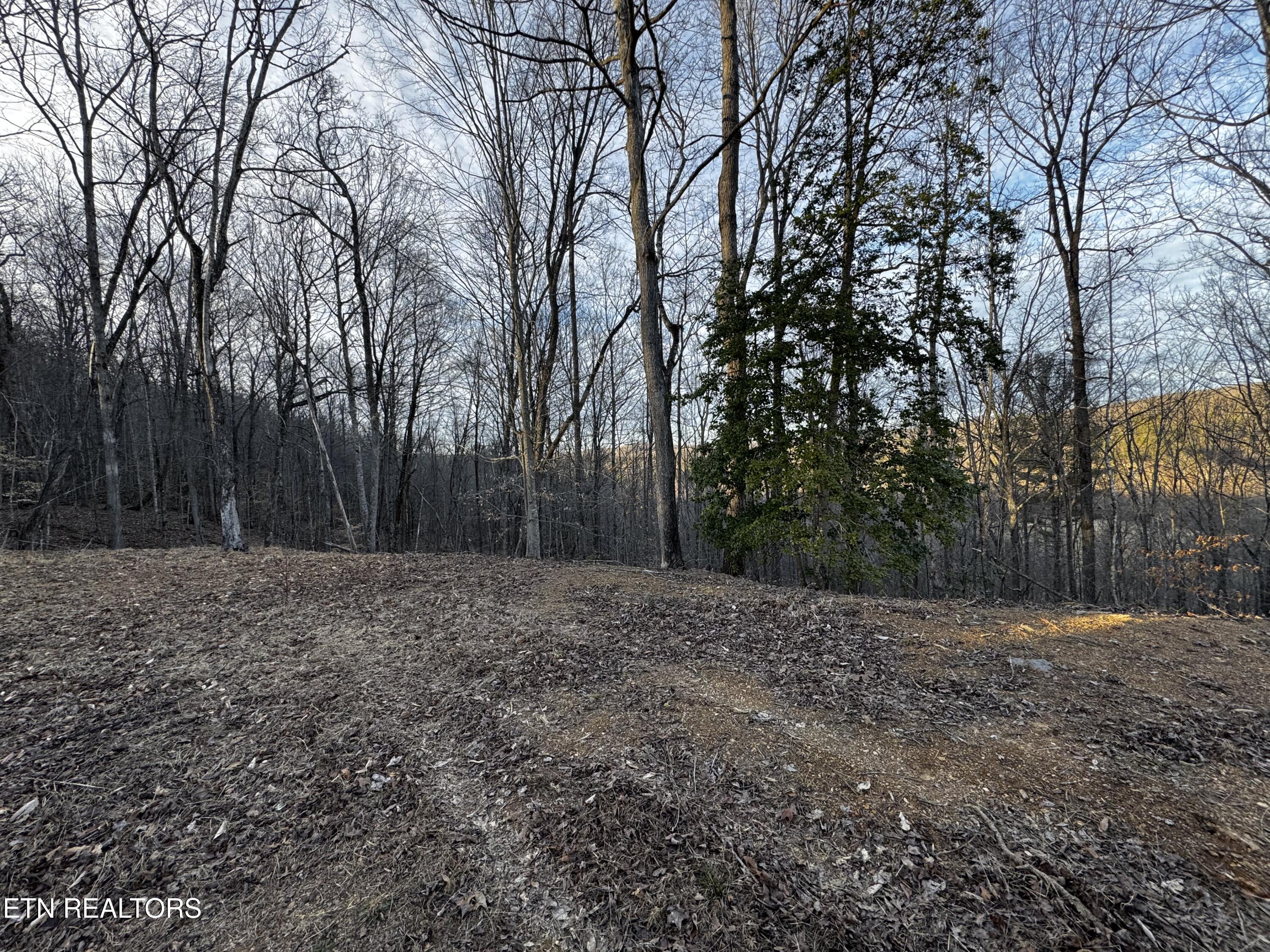 River Road Huntsville, TN 37756 - Photo 20 of 44 IMG_2558