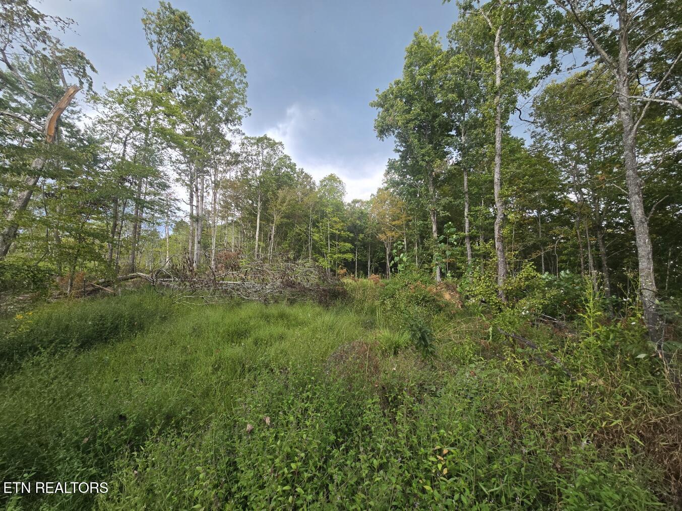 River Road Huntsville, TN 37756 - Photo 2 of 15 20250916_154707