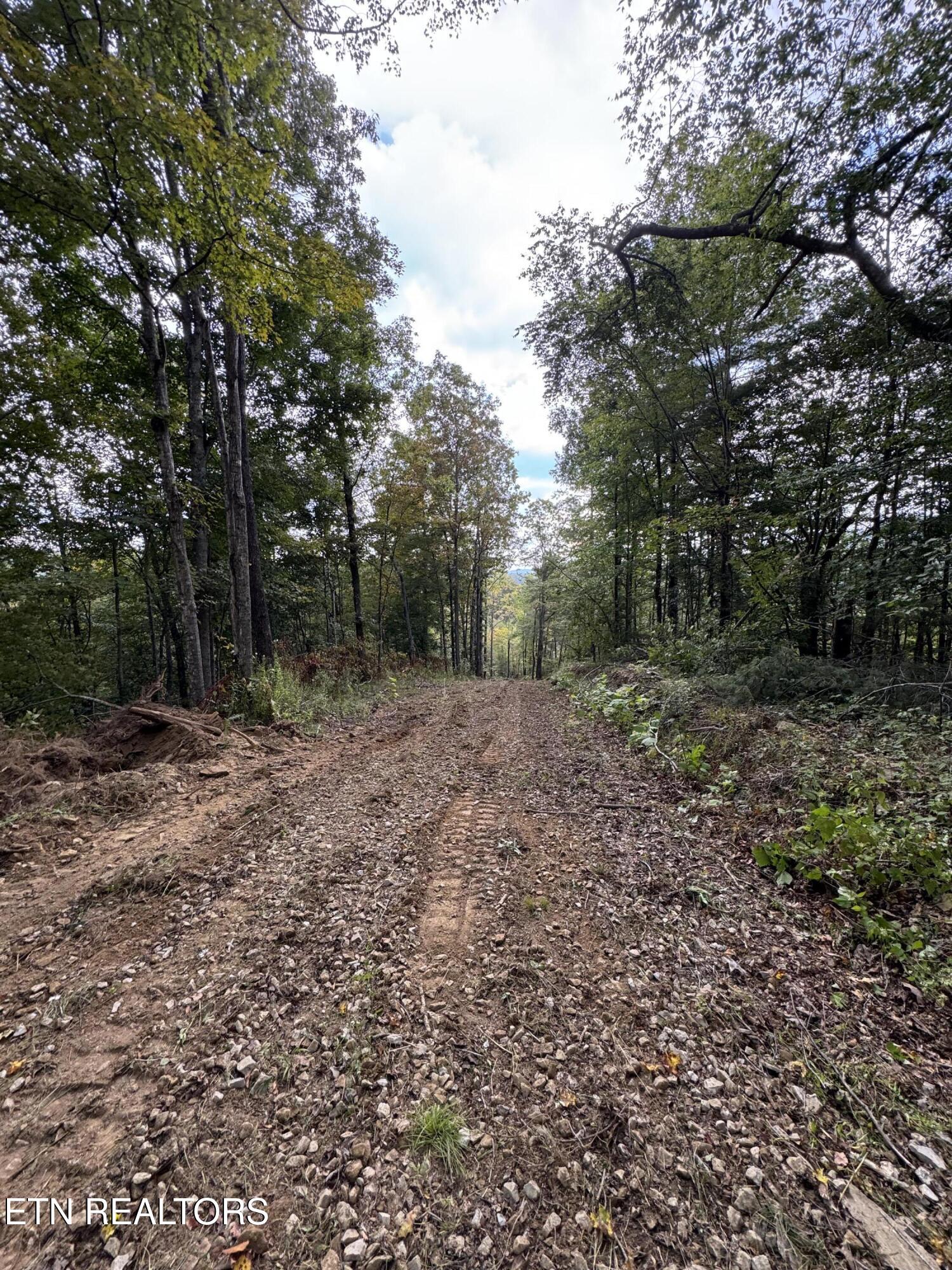 River Road Huntsville, TN 37756 - Photo 24 of 44 IMG_9671
