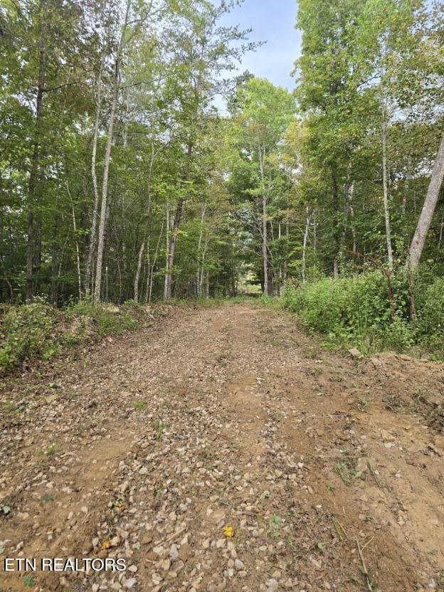 River Road Huntsville, TN 37756 - Photo 32 of 44 20250916_154230