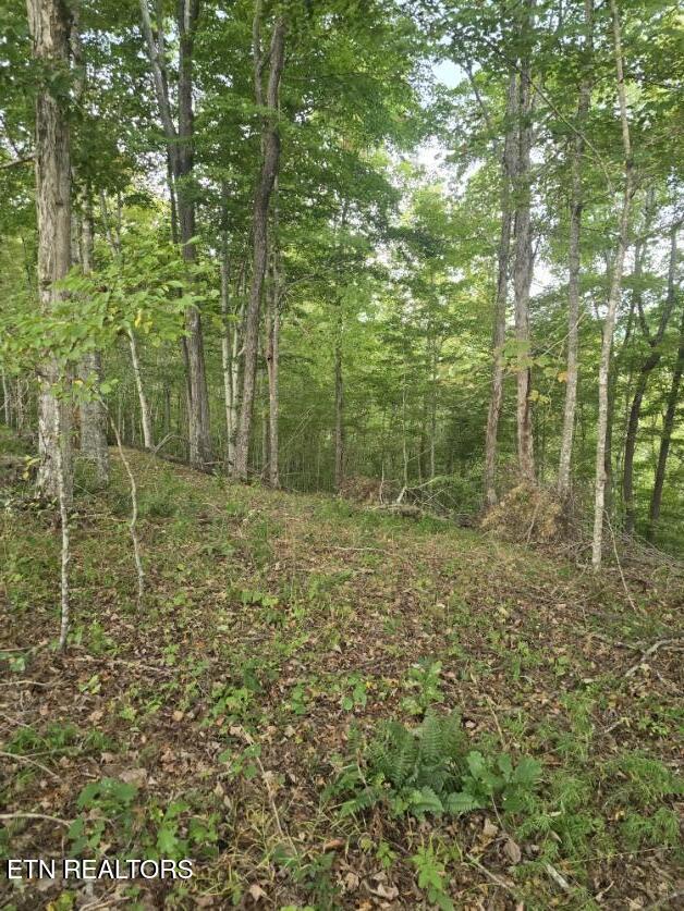 River Road Huntsville, TN 37756 - Photo 33 of 44 20250916_154516