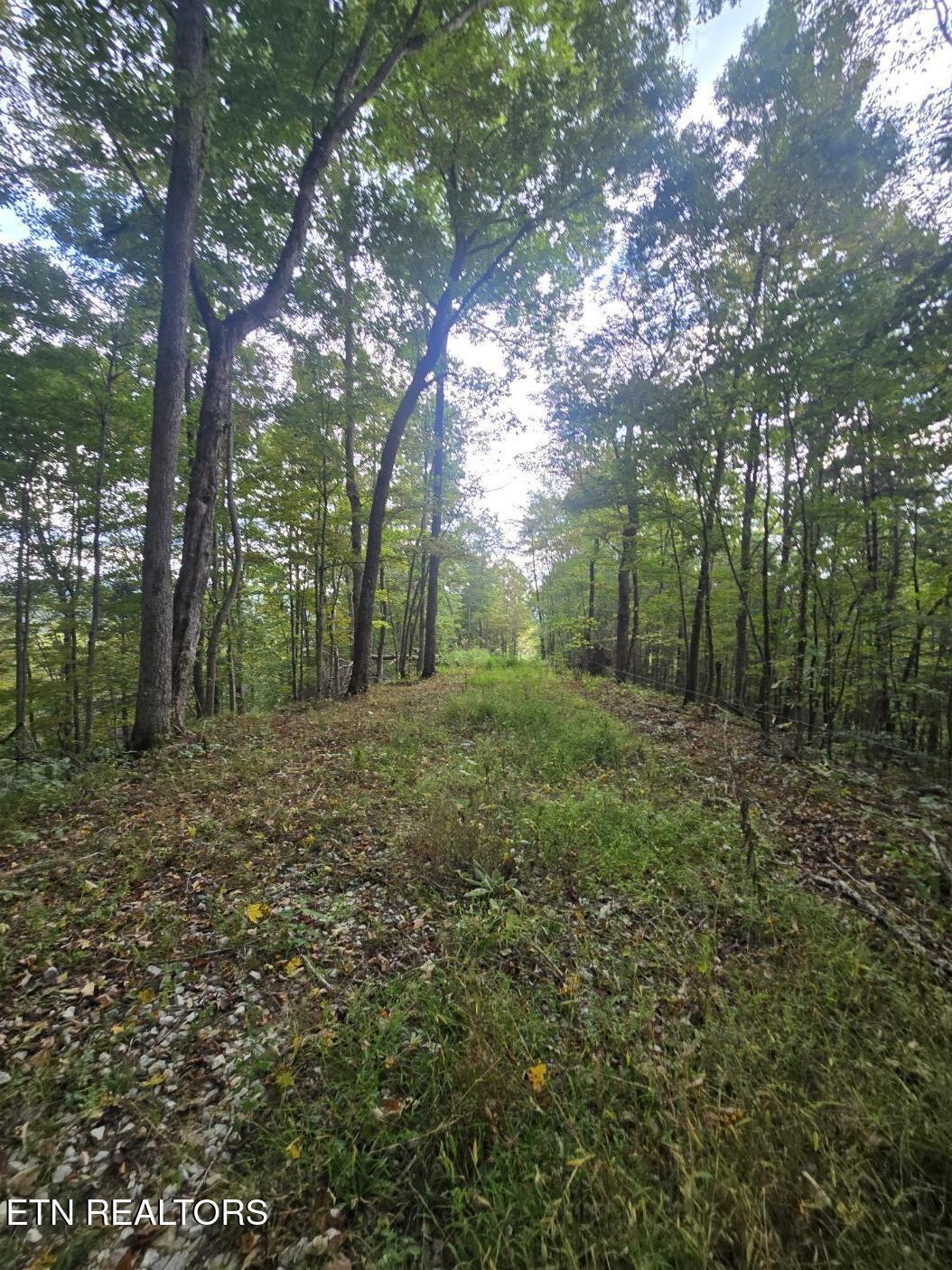 River Road Huntsville, TN 37756 - Photo 35 of 44 20250916_154915