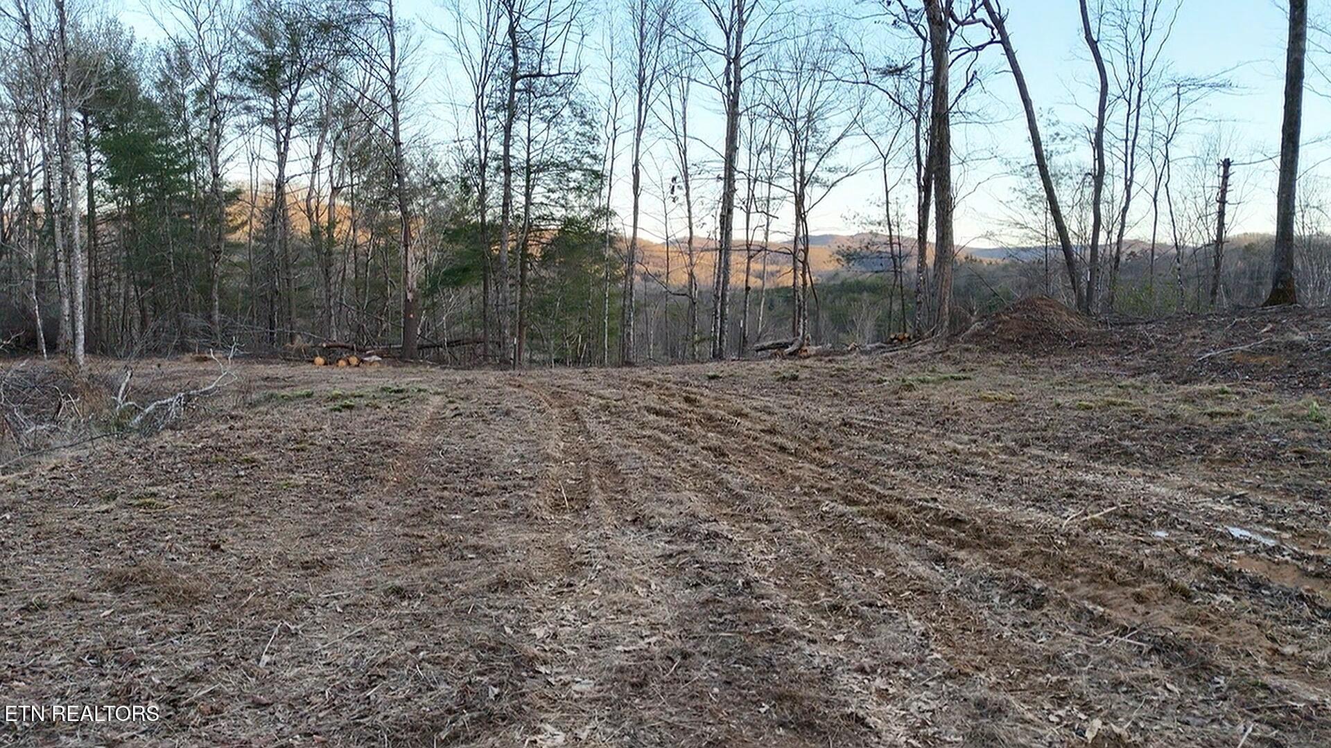 River Road Huntsville, TN 37756 - Photo 37 of 44 dji_fly_20260220_180522_0_1771628722118_