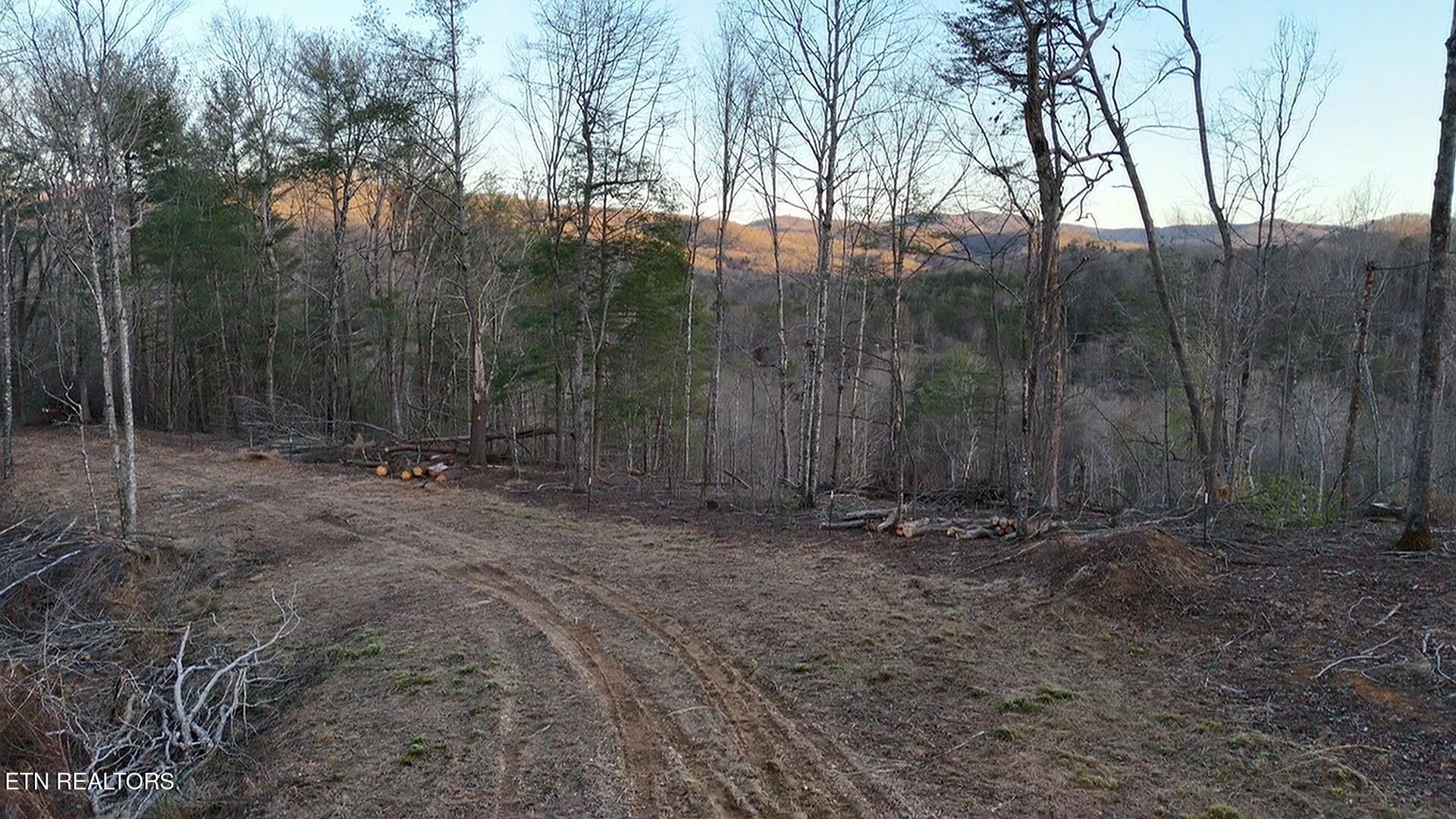 River Road Huntsville, TN 37756 - Photo 38 of 44 dji_fly_20260220_180526_0_1771628726424_