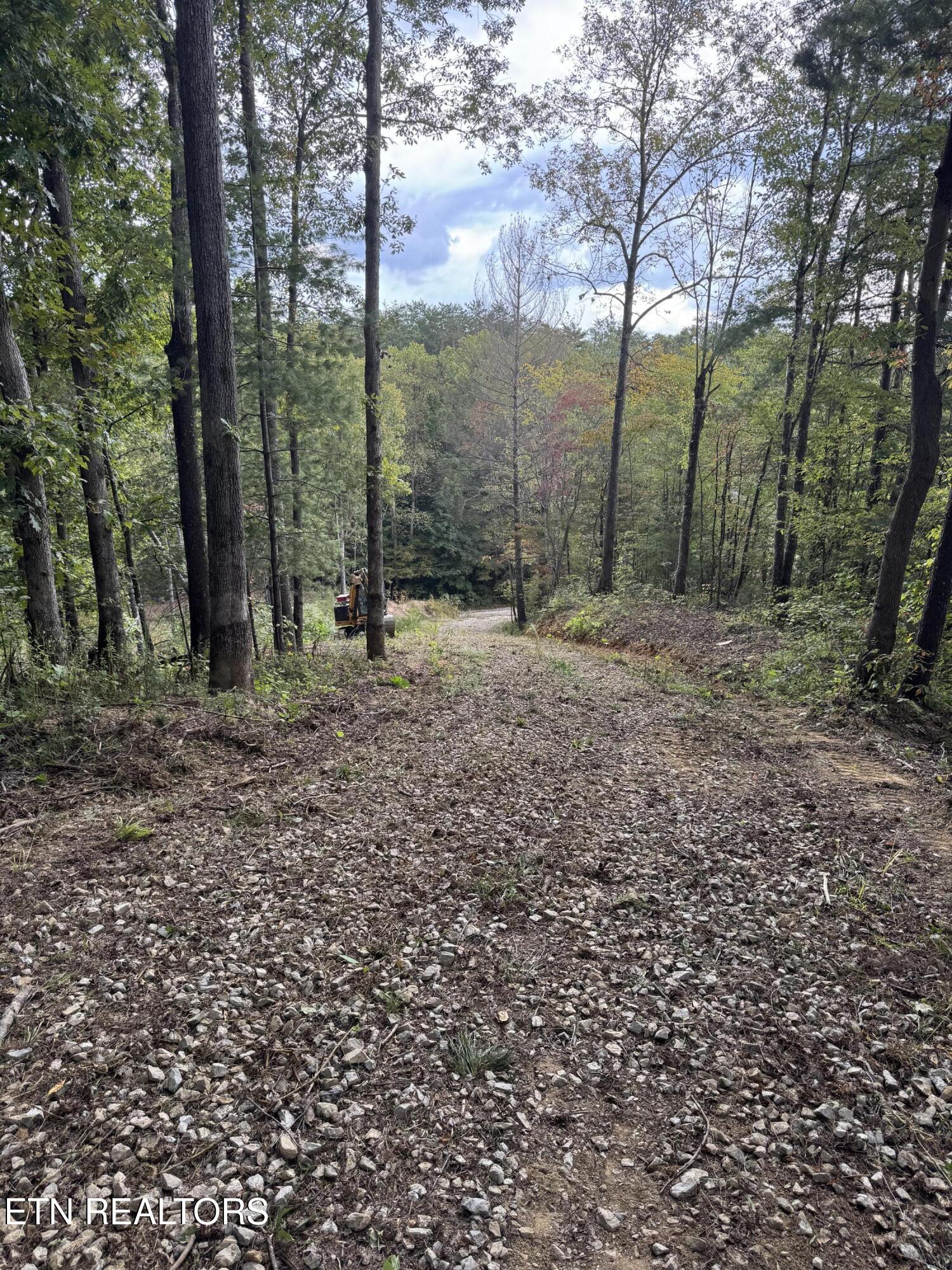 River Road Huntsville, TN 37756 - Photo 4 of 15 IMG_9667