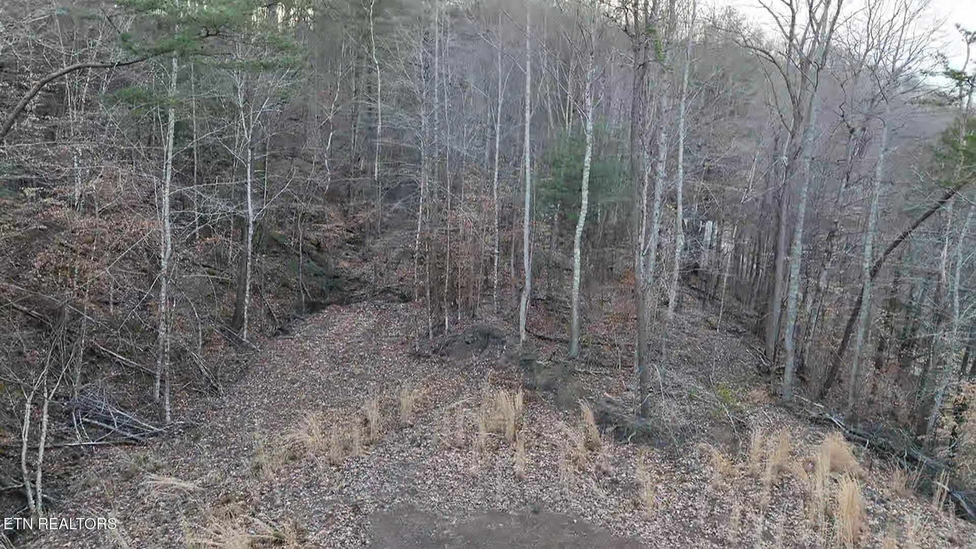 River Road Huntsville, TN 37756 - Photo 42 of 44 4