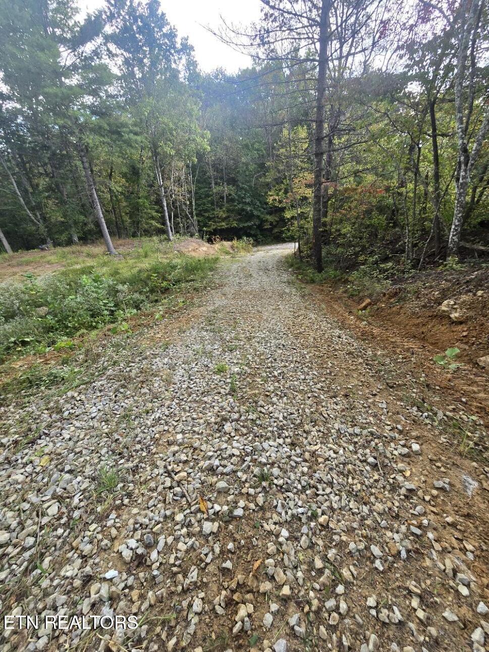 River Road Huntsville, TN 37756 - Photo 5 of 15 20250916_155623