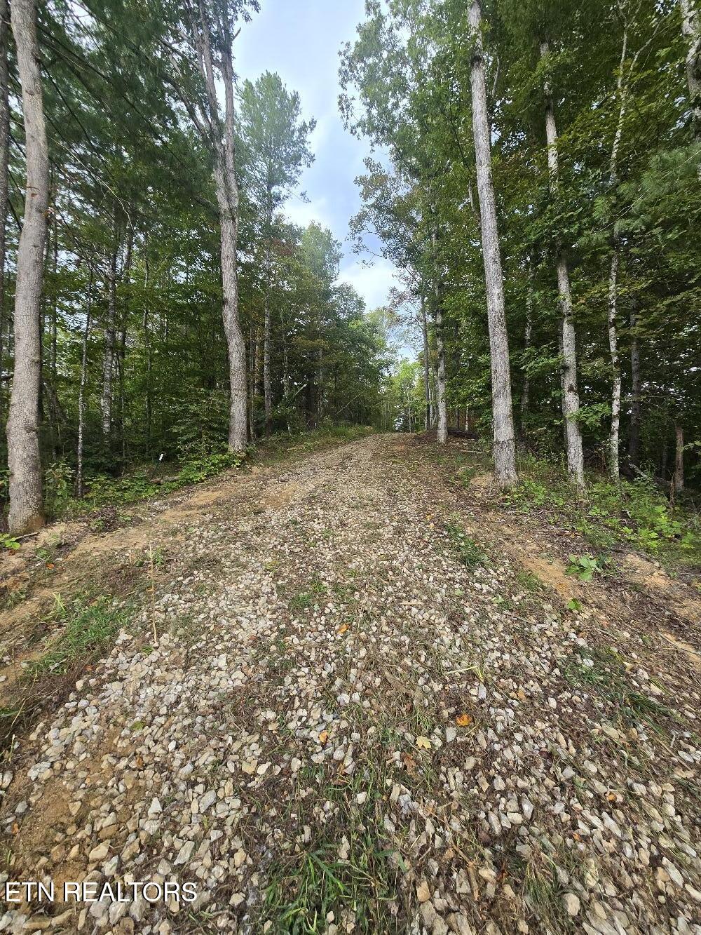 River Road Huntsville, TN 37756 - Photo 6 of 15 20250916_155405