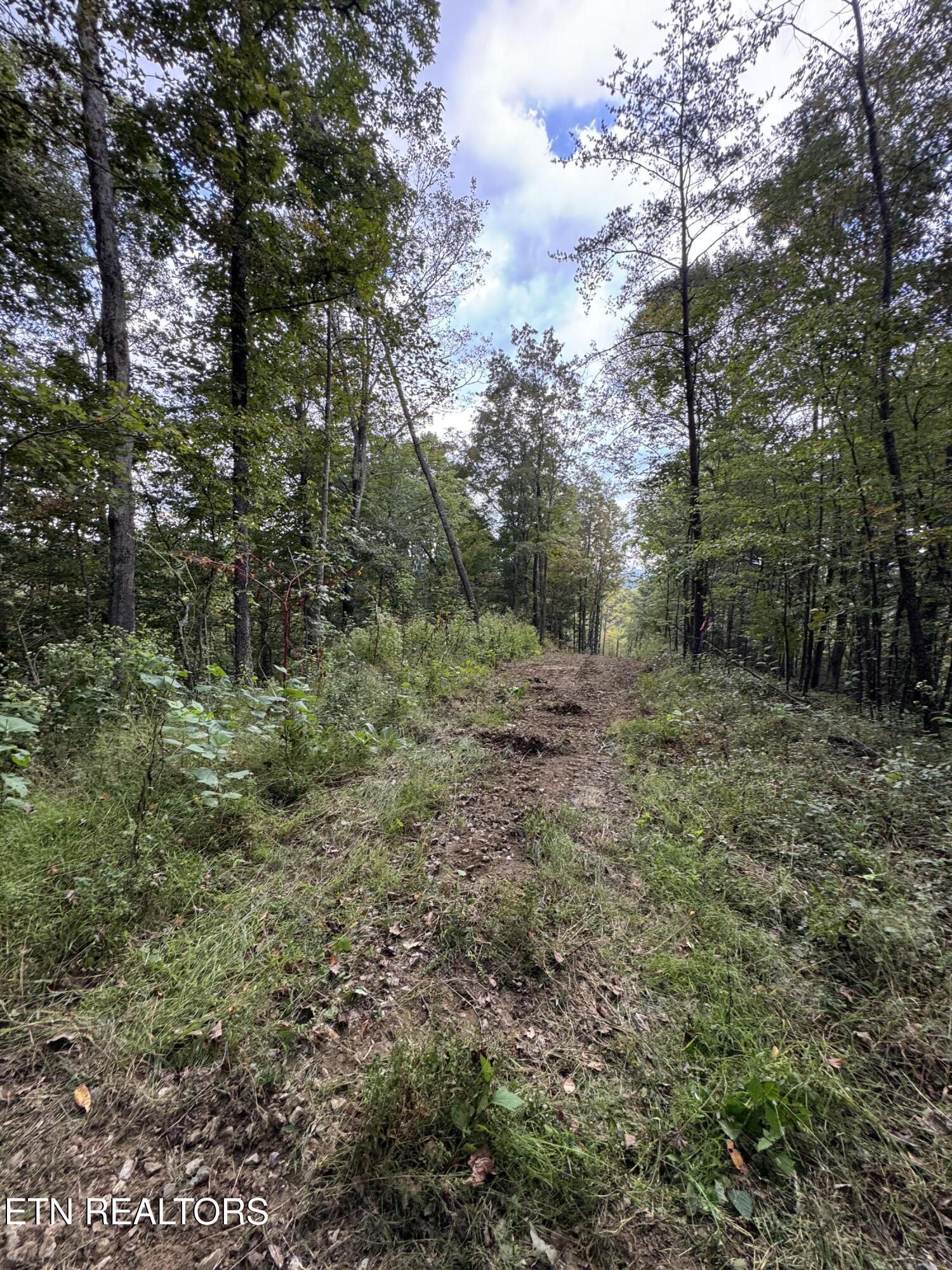 River Road Huntsville, TN 37756 - Photo 8 of 15 IMG_9673