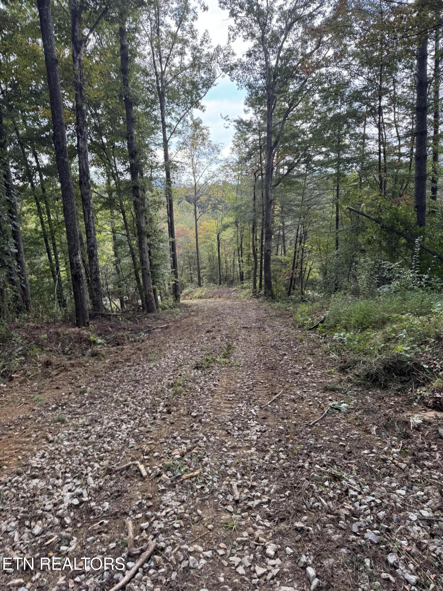 River Road Huntsville, TN 37756 - Photo 9 of 15 IMG_9668
