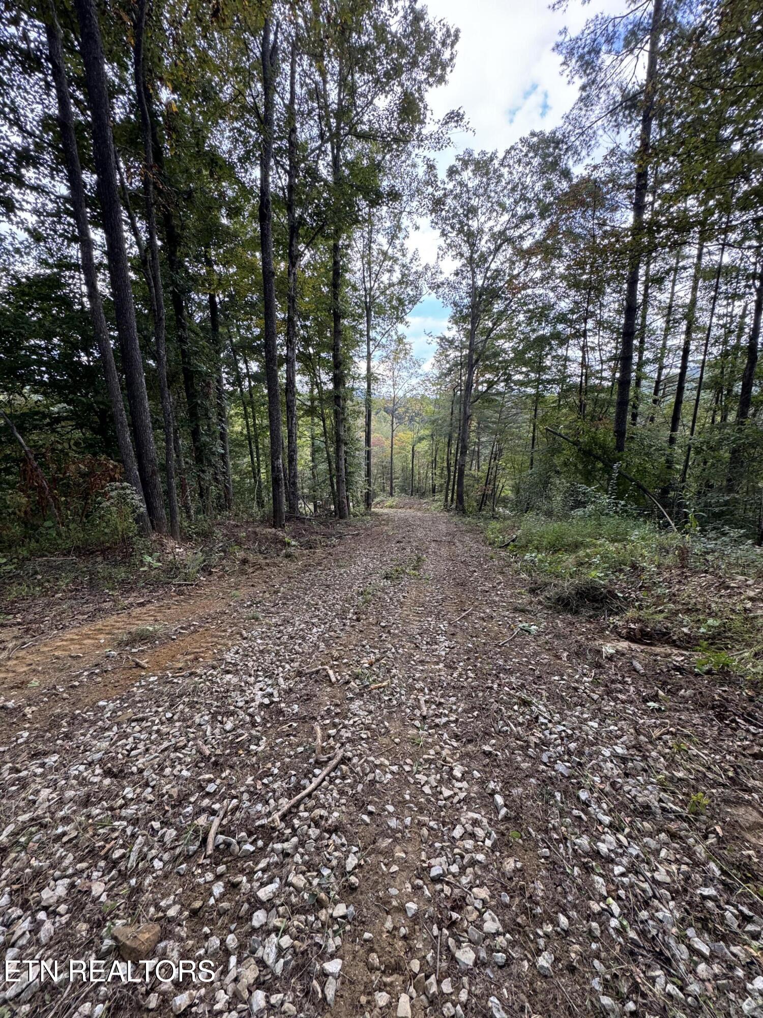 River Road Huntsville, TN 37756 - Photo 10 of 15 IMG_9669