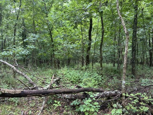 0 North Lang /eureka Road Berry, KY 41003 - Photo 10 of 10 IMG_6077
