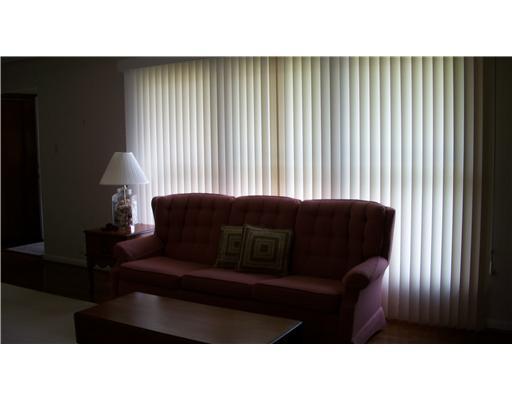 202 Warren Street Perryopolis, PA 15473 - Photo 8 of 18 Living Room. HUGE picture window allows for tons of natural sunlight to permeate the entire living room area!