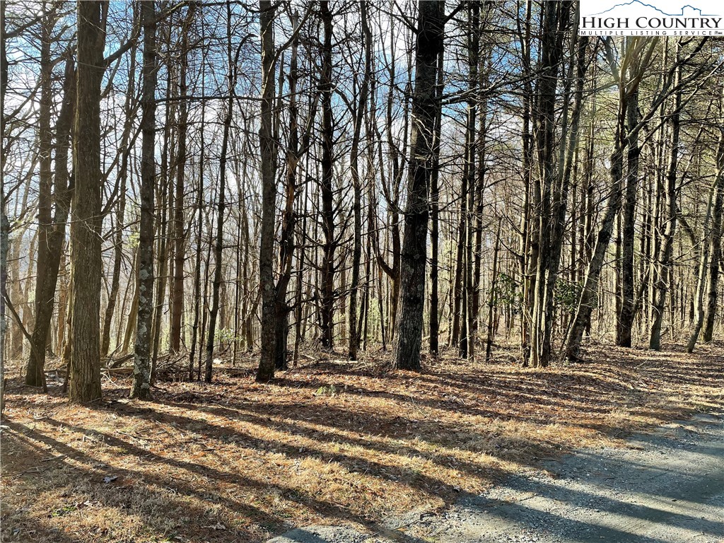 Lot#13 Big Ridge Road Fleetwood, NC 28626 - Photo 1 of 5 Gallery Image 1