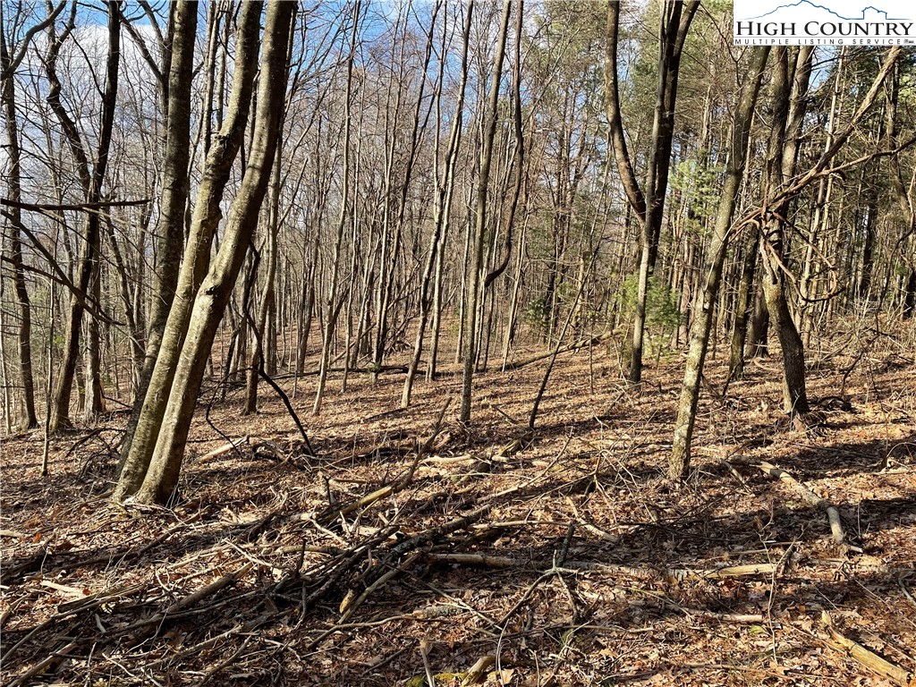 Lot#13 Big Ridge Road Fleetwood, NC 28626 - Photo 2 of 5 Gallery Image 2