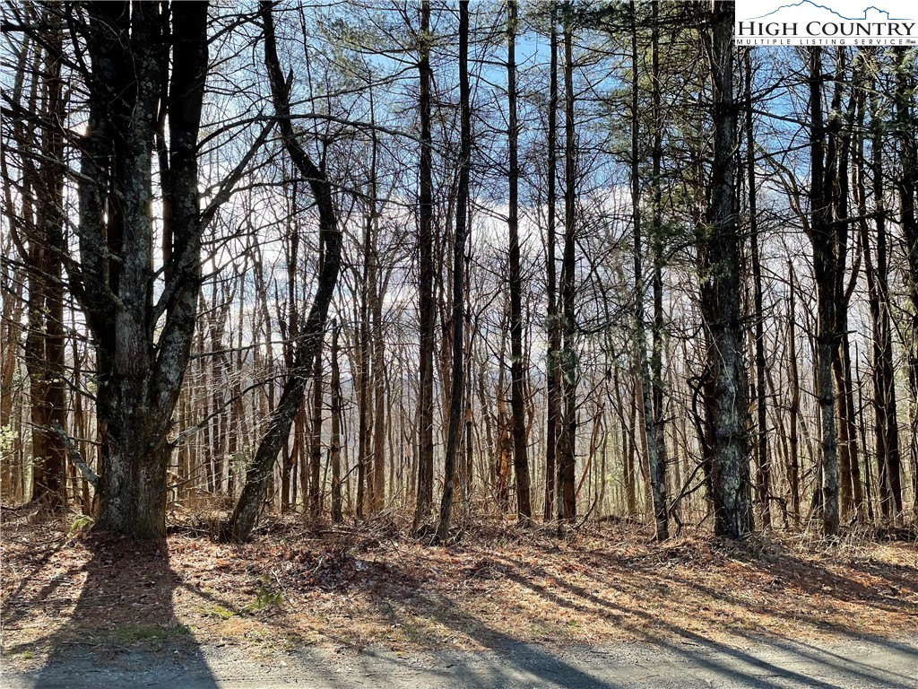 Lot#13 Big Ridge Road Fleetwood, NC 28626 - Photo 3 of 5 Gallery Image 3