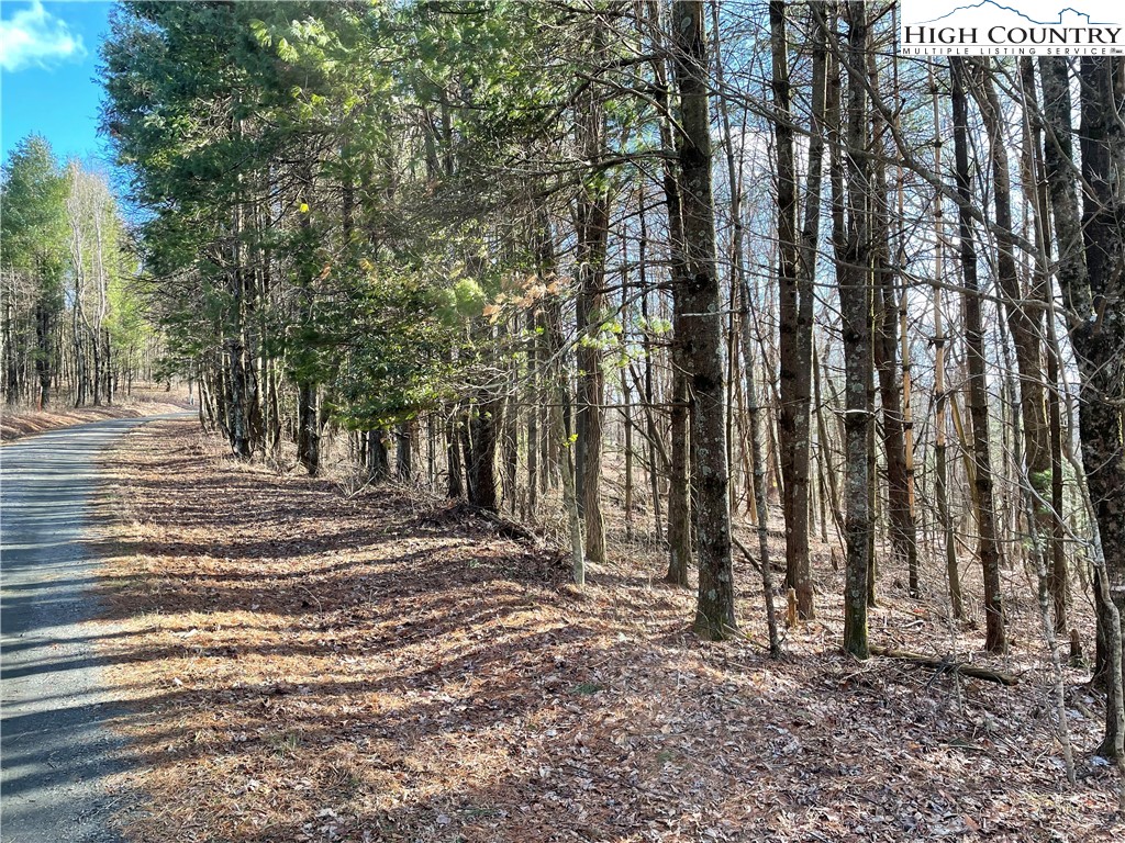 Lot#13 Big Ridge Road Fleetwood, NC 28626 - Photo 4 of 5 Gallery Image 4