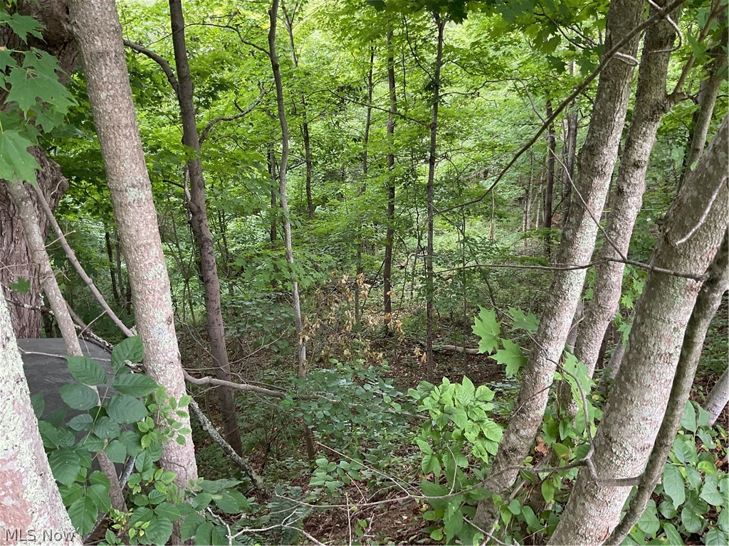 2345 Heldman Road Wingett Run, OH 45789 - Photo 38 of 39